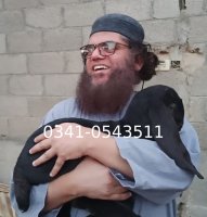 Iqbal Sajid-2