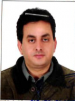 groom or bride photo