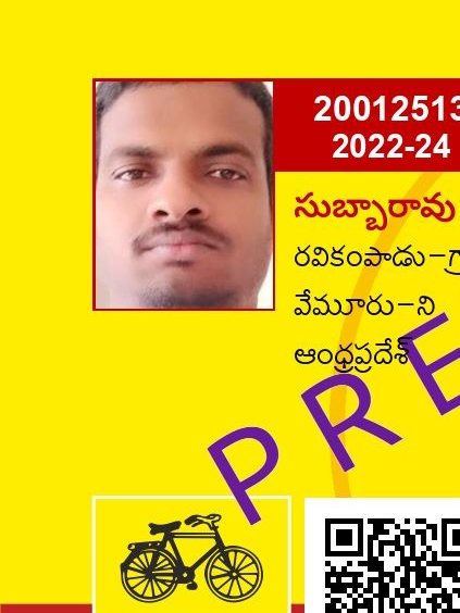 Profile Photo