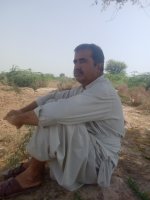 groom or bride photo