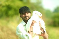 groom or bride photo