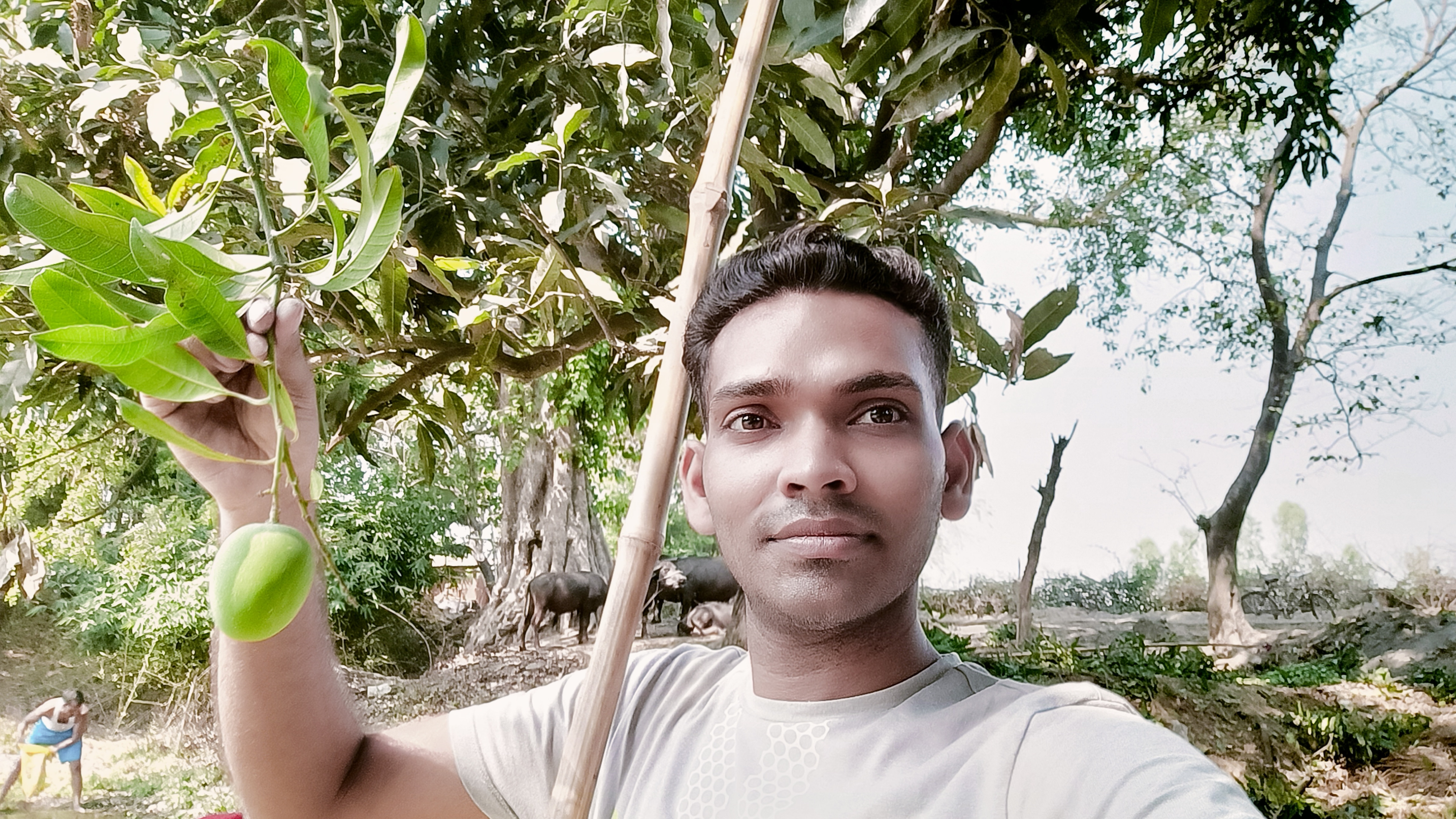 Profile Photo