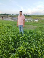 sumon-2